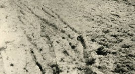 Alfred_Stieglitz_Winter_Fifth_Avenue_1892a